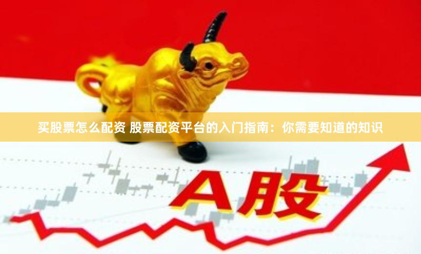 买股票怎么配资 股票配资平台的入门指南：你需要知道的知识