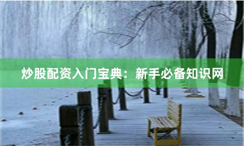 炒股配资入门宝典：新手必备知识网