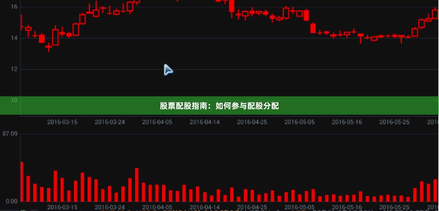股票配股指南：如何参与配股分配
