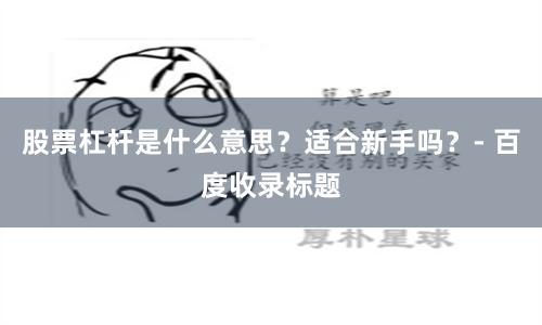 股票杠杆是什么意思？适合新手吗？- 百度收录标题