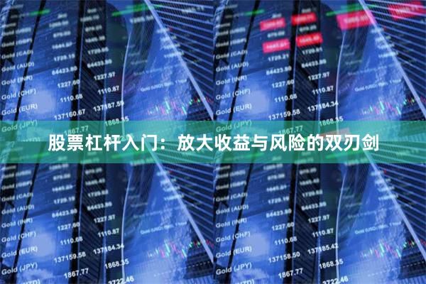 股票杠杆入门：放大收益与风险的双刃剑