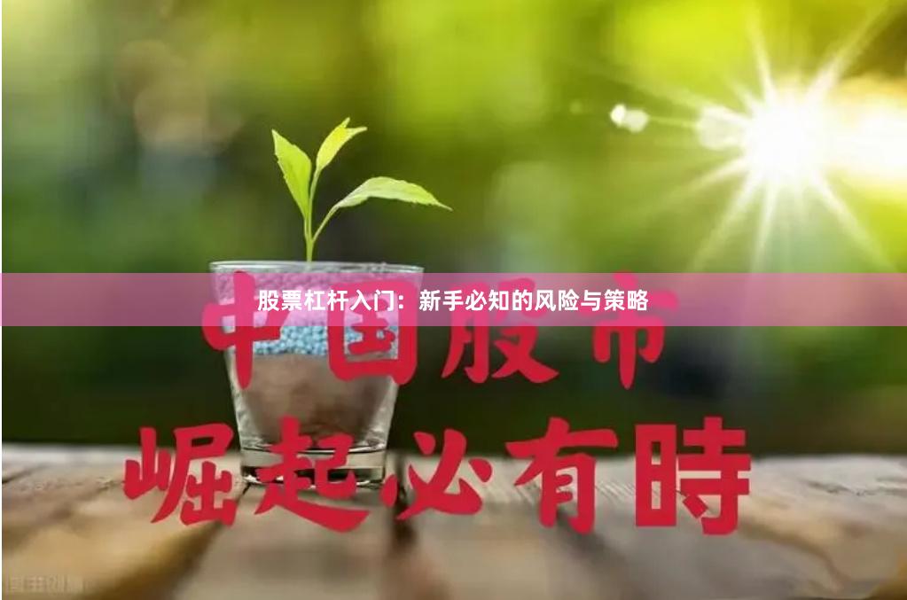 股票杠杆入门：新手必知的风险与策略
