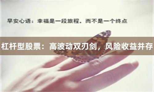 杠杆型股票：高波动双刃剑，风险收益并存