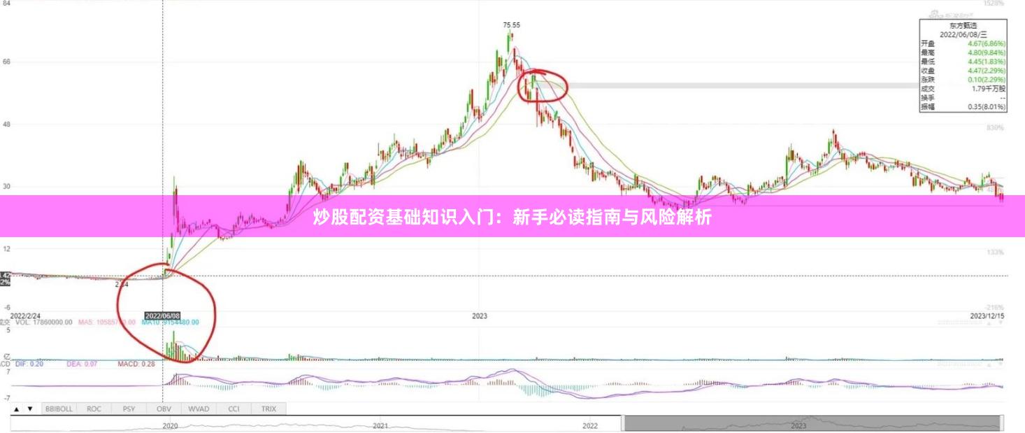 炒股配资基础知识入门：新手必读指南与风险解析